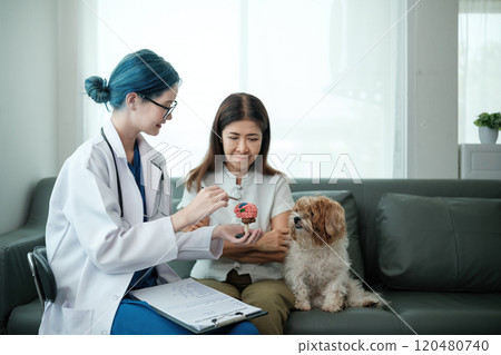 A woman and a dog are sitting on a couch while a doctor looks at the dog 120480740