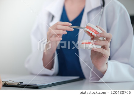 A dentist is holding a model of a tooth A dentist is holding a model of a tooth 120480766