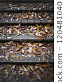 Fallen leaves piled up on the stairs 120481040