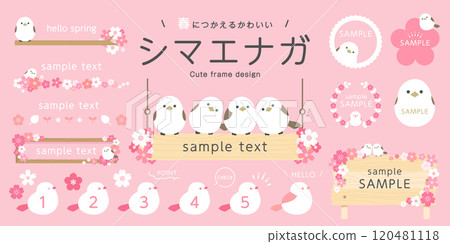 Long-tailed tit spring design set (vector frame cherry blossom decoration cute little bird) 120481118