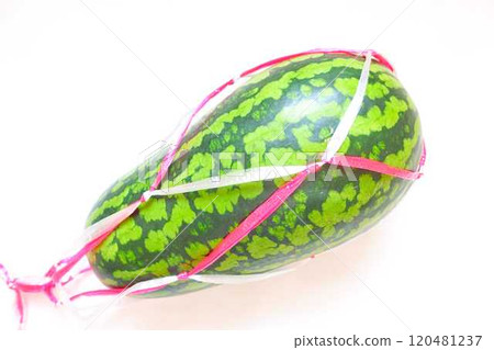 Watermelon, watermelon, watermelon, cucumber Watermelon, watermelon, watermelon, cucumber 120481237