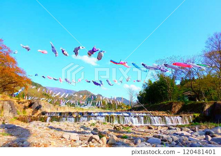 山形市高瀨川鯉魚旗、鯉魚旗、鯉魚旗 山形市高瀨川鯉魚旗、鯉魚旗、鯉魚旗 120481401