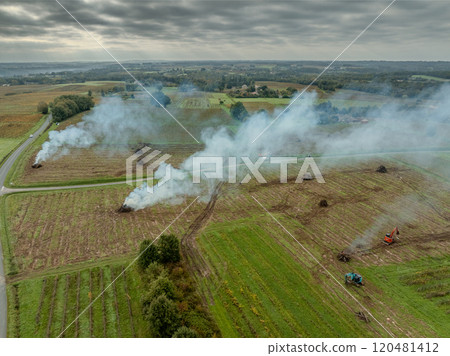 FRANCE, GIRONDE, NAUJAN-ET-POSTIAC, BORDEAUX VINEYARD UPROOTING CAMPAIGN WITH BACKHOE LOADER 120481412