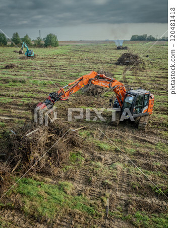 FRANCE, GIRONDE, NAUJAN-ET-POSTIAC, BORDEAUX VINEYARD UPROOTING CAMPAIGN WITH BACKHOE LOADER FRANCE, GIRONDE, NAUJAN-ET-POSTIAC, BORDEAUX VINEYARD UPROOTING CAMPAIGN WITH BACKHOE LOADER 120481418