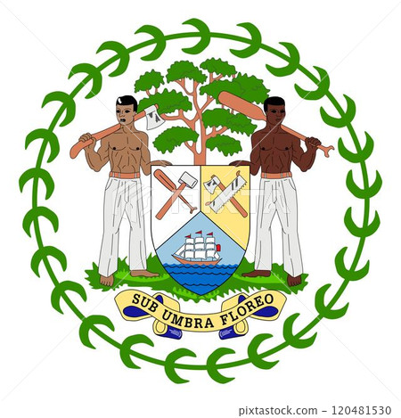 Belize element flag national material design 120481530