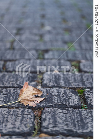 枯葉落在石頭路面上/冬季影像 枯葉落在石頭路面上/冬季影像 120482401