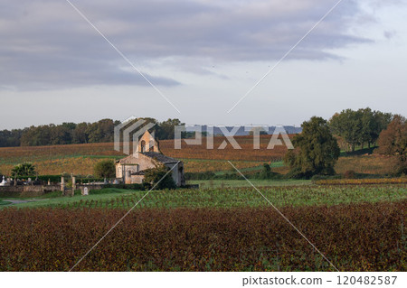 FRANCE, GIRONDE, ENTRE DEUX MERS VINEYARDS, CHURCH WITH AUTUMN COLORS FRANCE, GIRONDE, ENTRE DEUX MERS VINEYARDS, CHURCH WITH AUTUMN COLORS 120482587