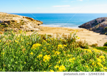 Beach sea shore. Coast in Murcia Spain. 120483168