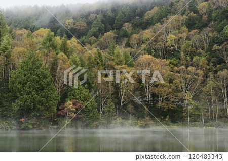 Autumn Shiga Kogen Kido Pond with fog Autumn Shiga Kogen Kido Pond with fog 120483343