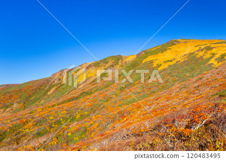 Mount Kurikoma, which straddles the three prefectures of Miyagi, Iwate, and Akita, features vibrant autumn foliage and blue skies covering the slopes as seen from the central course. 120483495