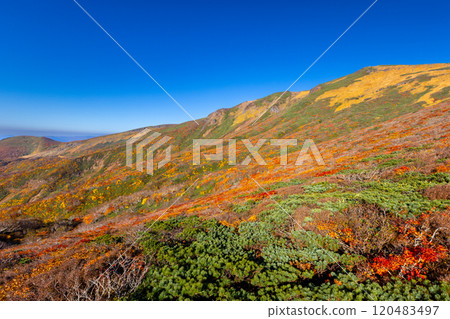 Mount Kurikoma, which straddles the three prefectures of Miyagi, Iwate, and Akita, features vibrant autumn foliage and blue skies covering the slopes as seen from the central course. 120483497