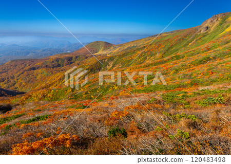 Mount Kurikoma, which straddles the three prefectures of Miyagi, Iwate, and Akita, features vibrant autumn foliage and blue skies covering the slopes as seen from the central course. Mount Kurikoma, which straddles the three prefectures of Miyagi, Iwate, and Akita, features vibrant autumn foliage and blue skies covering the slopes as seen from the central course. 120483498