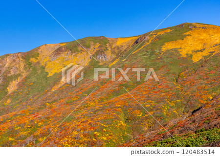 Mount Kurikoma, which straddles the three prefectures of Miyagi, Iwate, and Akita, features vibrant autumn foliage and blue skies covering the slopes as seen from the central course. 120483514