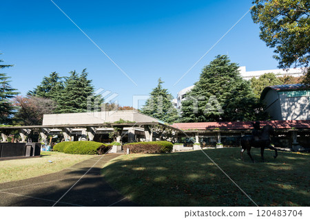 漫步世田谷美術館、衣田公園、晴朗的秋日天空、東京世田谷區衣田公園 120483704