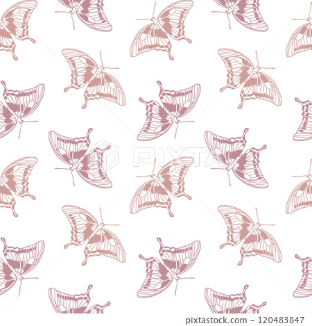Butterflies delicate seamless pattern. Hand drawn vector illustration in graphic style. For cards, invitations, packaging, textile, fabric, covers. 120483847