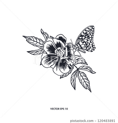 Flower with leaves and butterfly. Hand drawn vector illustration in graphic style. For greeting cards, invitations, labels, tattoos, posters, banners. 120483891
