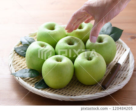 青蘋果（群馬明月），甜度強，酸度低，口感豐富 120484205