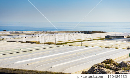 Plastic greenhouses on coast, Spain 120484383
