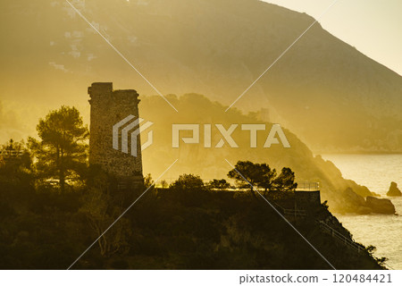 Spanish coast with Pine Tower, Andalusia. 120484421