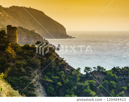 Spanish coast with Pine Tower, Andalusia. 120484423