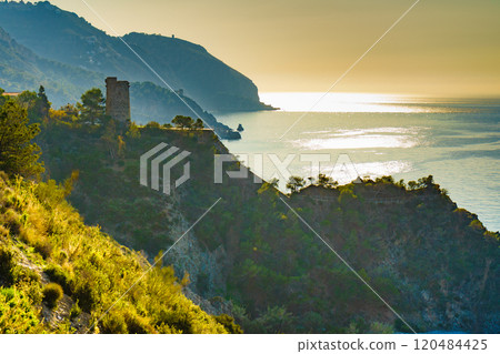 Spanish coast with Pine Tower, Andalusia. 120484425