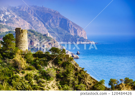 Spanish coast with Pine Tower, Andalusia. 120484426