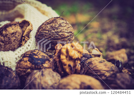 Walnut whole and kernels outdoors on ground. 120484451