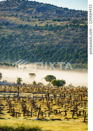 Haze in morning over Sad Hill Cemetery in Burgos, Spain 120484455