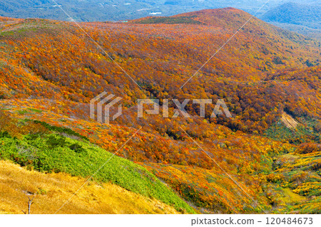 Mount Kurikoma, which straddles the three prefectures of Miyagi, Iwate, and Akita, features a view of the vibrant autumn foliage covering the slopes from the summit. 120484673