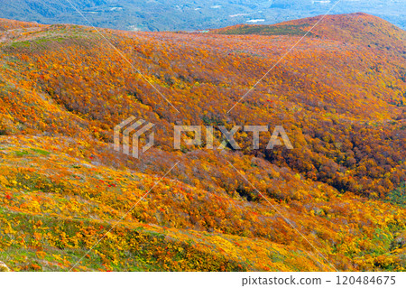 Mount Kurikoma, which straddles the three prefectures of Miyagi, Iwate, and Akita, features a view of the vibrant autumn foliage covering the slopes from the summit. 120484675