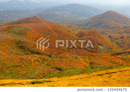 栗駒山橫跨宮城縣、岩手縣、秋田縣三縣,從山頂眺望,山坡上的紅葉盡收眼底。 栗駒山橫跨宮城縣、岩手縣、秋田縣三縣,從山頂眺望,山坡上的紅葉盡收眼底。 120484678