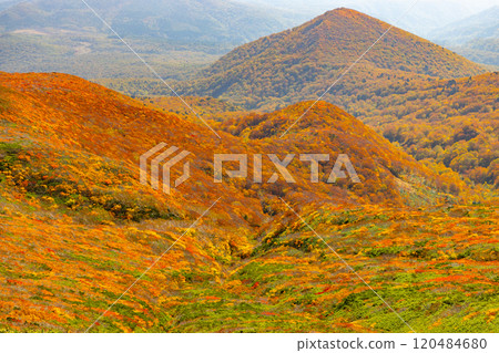 栗駒山橫跨宮城縣、岩手縣、秋田縣三縣,從山頂眺望,山坡上的紅葉盡收眼底。 栗駒山橫跨宮城縣、岩手縣、秋田縣三縣,從山頂眺望,山坡上的紅葉盡收眼底。 120484680