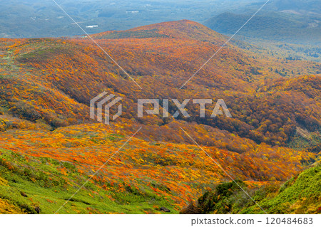Mount Kurikoma, which straddles the three prefectures of Miyagi, Iwate, and Akita, features a view of the vibrant autumn foliage covering the slopes from the summit. Mount Kurikoma, which straddles the three prefectures of Miyagi, Iwate, and Akita, features a view of the vibrant autumn foliage covering the slopes from the summit. 120484683