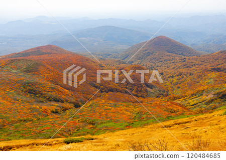 Mount Kurikoma, which straddles the three prefectures of Miyagi, Iwate, and Akita, features a view of the vibrant autumn foliage covering the slopes from the summit. Mount Kurikoma, which straddles the three prefectures of Miyagi, Iwate, and Akita, features a view of the vibrant autumn foliage covering the slopes from the summit. 120484685