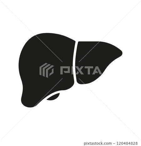 Human Liver for Anatomy and Biology Concept. Liver Silhouette Icon. Anatomy of Human Internal Organ Symbol. Hepatic System Sign. Isolated Vector Illustration Human Liver for Anatomy and Biology Concept. Liver Silhouette Icon. Anatomy of Human Internal Organ Symbol. Hepatic System Sign. Isolated Vector Illustration 120484828
