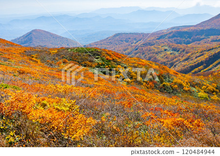Mount Kurikoma, which straddles the three prefectures of Miyagi, Iwate, and Akita, features vibrant autumn foliage covering the entire slope as seen from the central course. Mount Kurikoma, which straddles the three prefectures of Miyagi, Iwate, and Akita, features vibrant autumn foliage covering the entire slope as seen from the central course. 120484944