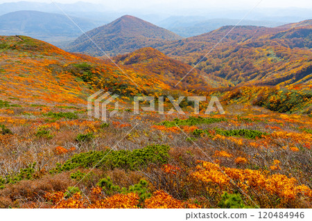 Mount Kurikoma, which straddles the three prefectures of Miyagi, Iwate, and Akita, features vibrant autumn foliage covering the entire slope as seen from the central course. Mount Kurikoma, which straddles the three prefectures of Miyagi, Iwate, and Akita, features vibrant autumn foliage covering the entire slope as seen from the central course. 120484946