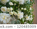 White Rose  120485009