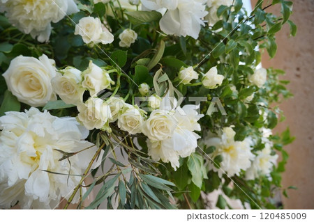 White Rose  120485009