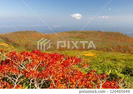 Mount Kurikoma, which straddles the three prefectures of Miyagi, Iwate, and Akita, features vibrant autumn foliage covering the entire slope as seen from the central course. Mount Kurikoma, which straddles the three prefectures of Miyagi, Iwate, and Akita, features vibrant autumn foliage covering the entire slope as seen from the central course. 120485049