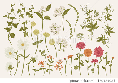 Set with autumn flowers 120485081