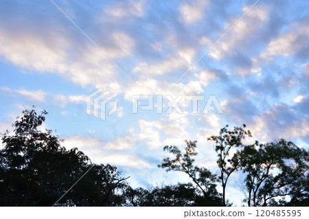 Clouds floating in the autumn sky Clouds floating in the autumn sky 120485595