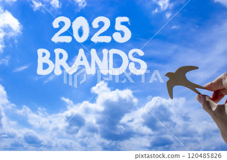 Planning 2025 brands new year symbol. Concept words 2025 Brands on beautiful blue sky. Beautiful blue sky clouds background. Hand with wooden bird. Business 2025 brands new year concept. Copy space. 120485826