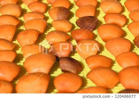 Ise Renjidaiji Temple 120486077