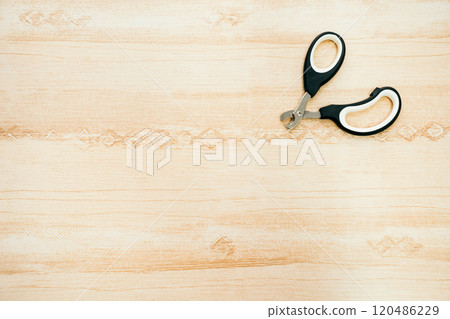 貓用指甲刀 寵物用指甲刀 貓用指甲刀 寵物用指甲刀 120486229