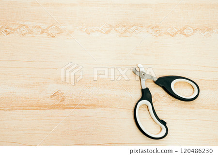 Nail clippers for cats Nail clippers for pets Nail clippers for cats Nail clippers for pets 120486230