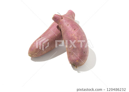 Sweet potatoes photographed on a white background Sweet potatoes photographed on a white background 120486232