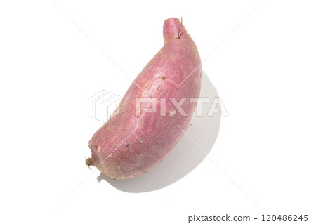 Sweet potatoes photographed on a white background 120486245