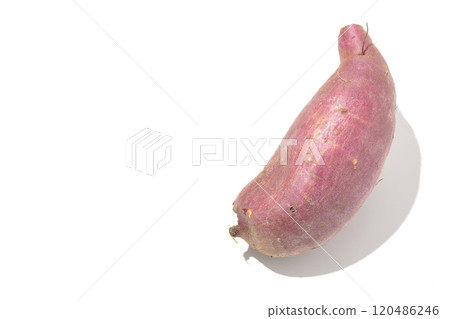 Sweet potatoes photographed on a white background Sweet potatoes photographed on a white background 120486246