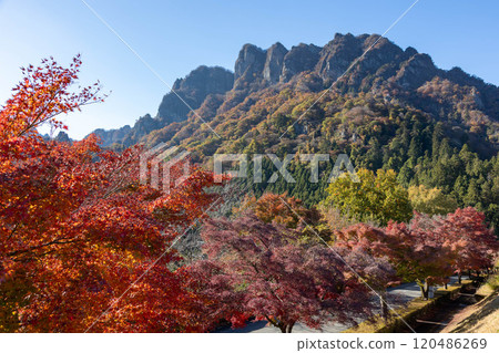 Mt. Myogi in Autumn: Autumn leaves at Mt. Myogi Panorama Park 120486269